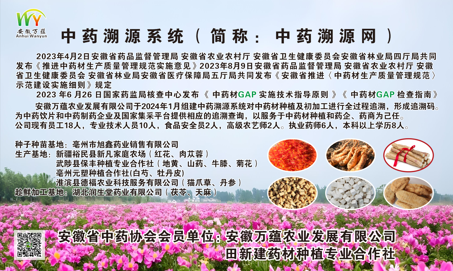 追溯網